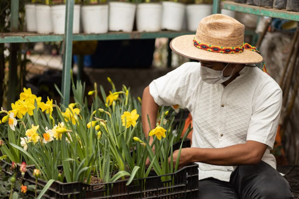 Imagem mostra jardineiro em floricultura de Belo Horizonte