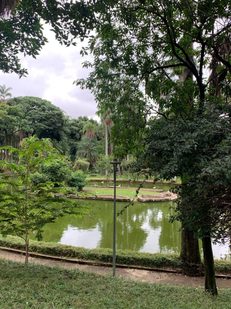 Imagem mostra espaço de relaxamento em parque na capital mineira.