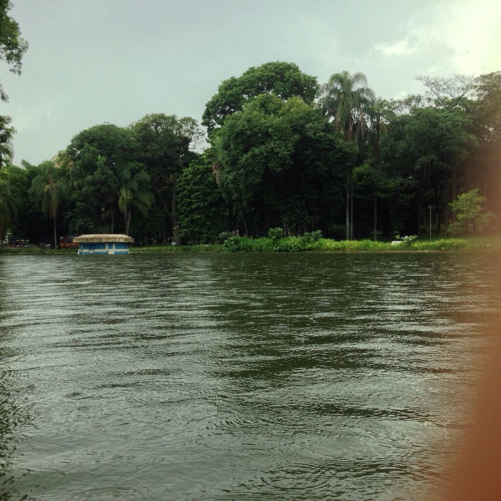 Imagem mostra lago dentro do Parque Municipal em belo Horizonte.
