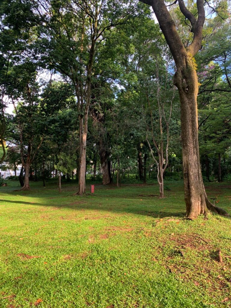 Imagem mostra área de lazer e descanso na capital mineira.