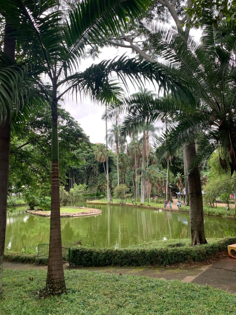 Imagem mostra lago dentro do Parque Municipal de Belo Horizonte.