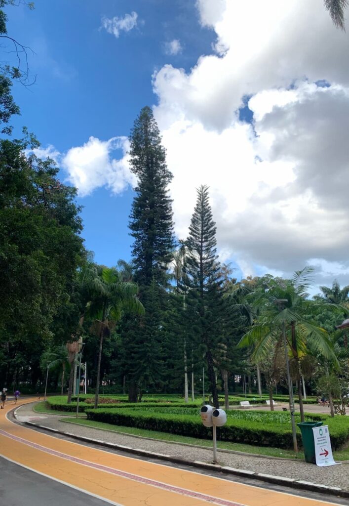 Imagem mostra pista para corrida e caminhada dentro de um dos melhores parques de Belo Horizonte.