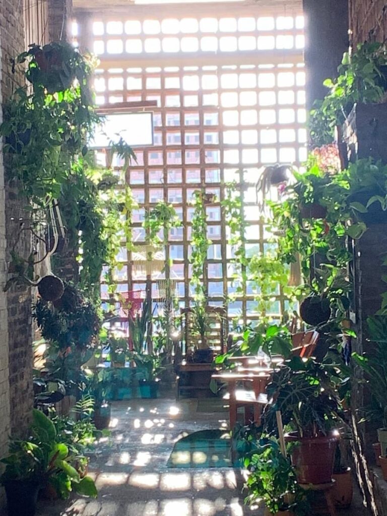 Imagem mostra espaço aconchegante no centro de Belo Horizonte.